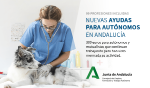 Ayuda_autonomos