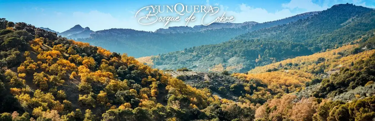 Yunquera bosque de cobre al fondo el castañar